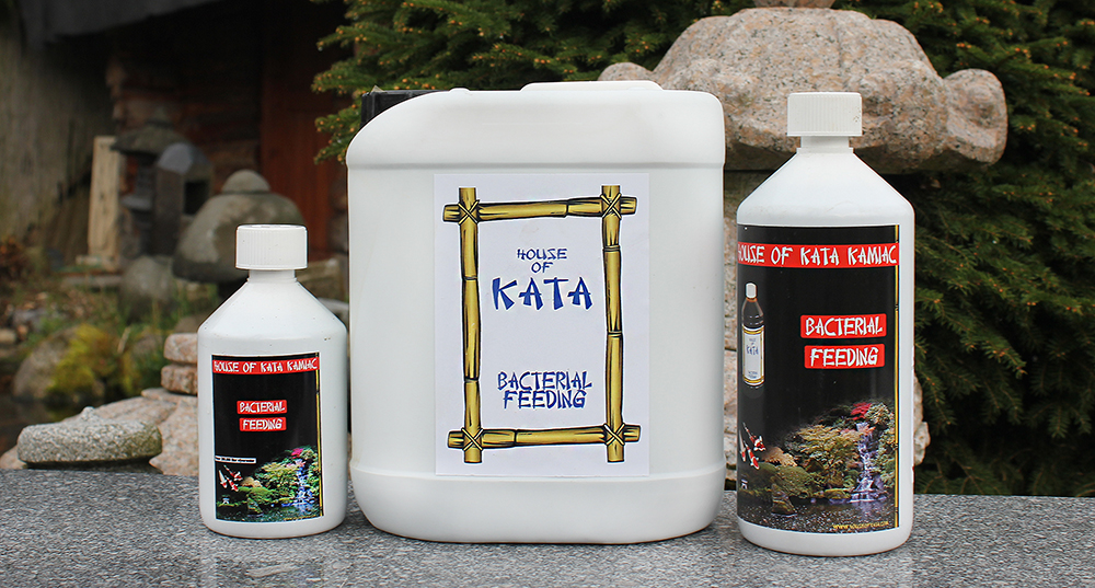 promo House Of Kata Bacterial feeding