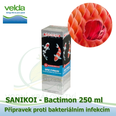 SaniKoi Bactimon 250 ml, proti bakteriálním infekcím