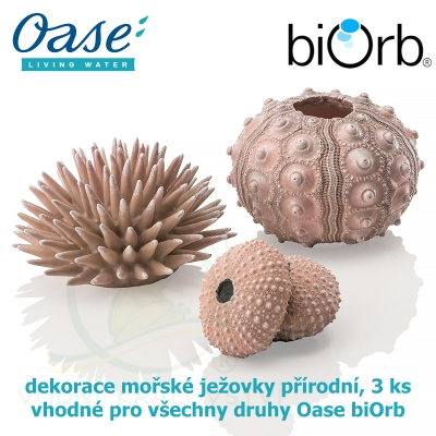 biOrb ježovky přírodní zabarvení, 3 kusy, dekorace do akvária-48366