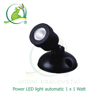 Power LED light 1x1 Watt automatic